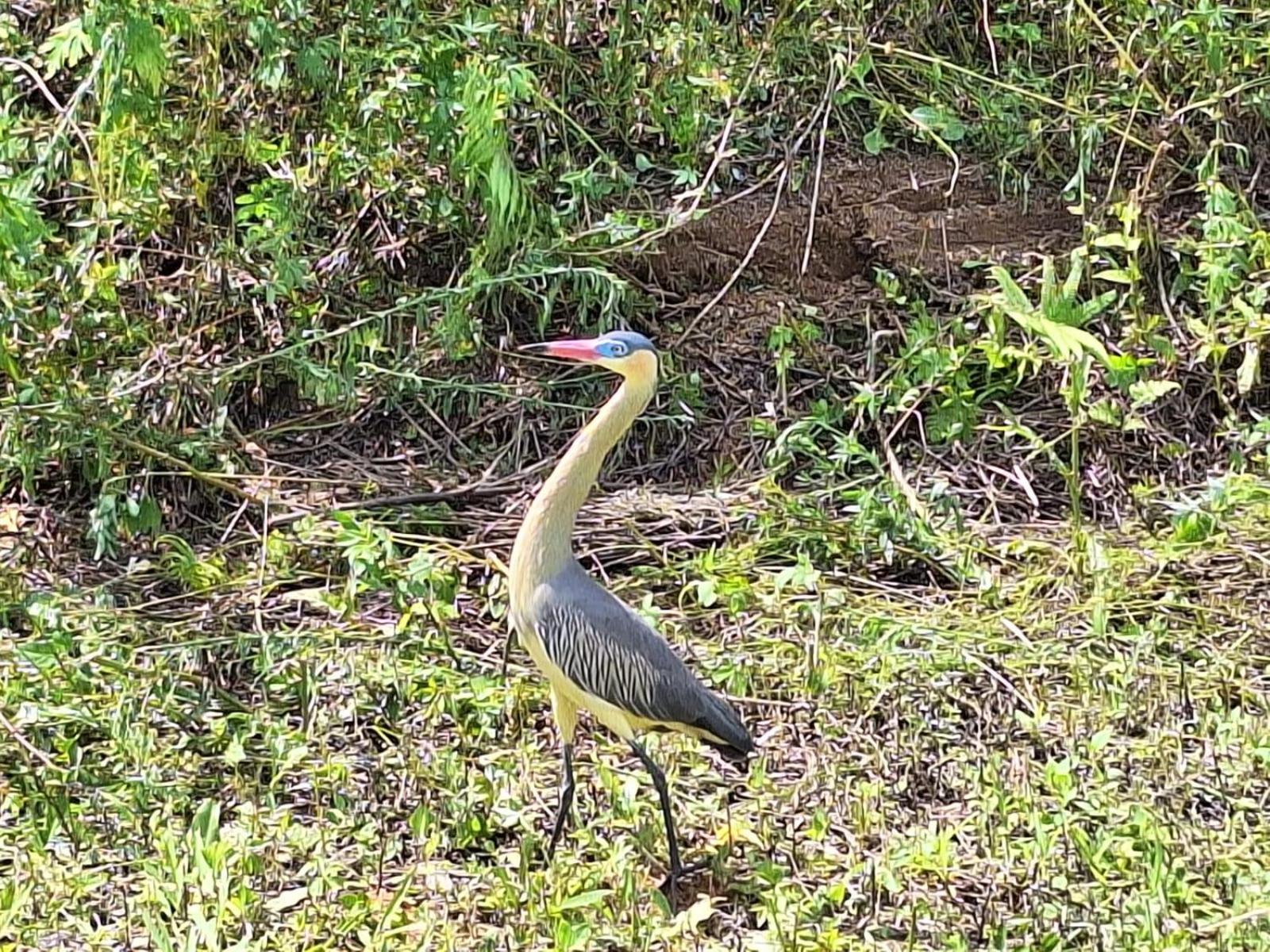 Pousada Dubaldo Оламбра Экстерьер фото